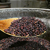 Les connaissances et savoir-faire des liqueurs en France