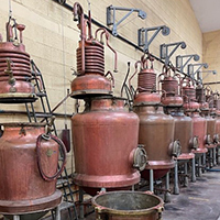 Les connaissances et savoir-faire des liqueurs en France