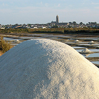 Paludiers et savoir-faire paludiers en presqu'île de Guérande