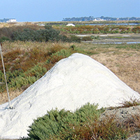 Paludiers et savoir-faire paludiers en presqu'île de Guérande