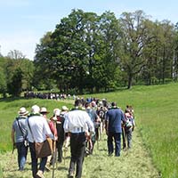 La procession de Neuf Lieues