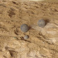 Boule de sable du Pays Nantais