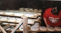 Les pratiques d’élevage caprin et les savoirs fromagers au lait de chèvre dans le massif des Bauges