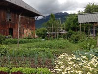 Les savoirs du jardin potager dans le massif des Bauges